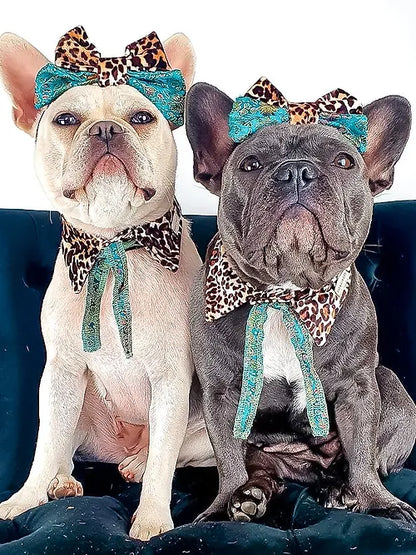 Rosco Shirt Dog Collar by Red & Ginger