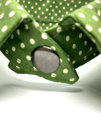 Rosco Shirt Dog Collar by Red & Ginger