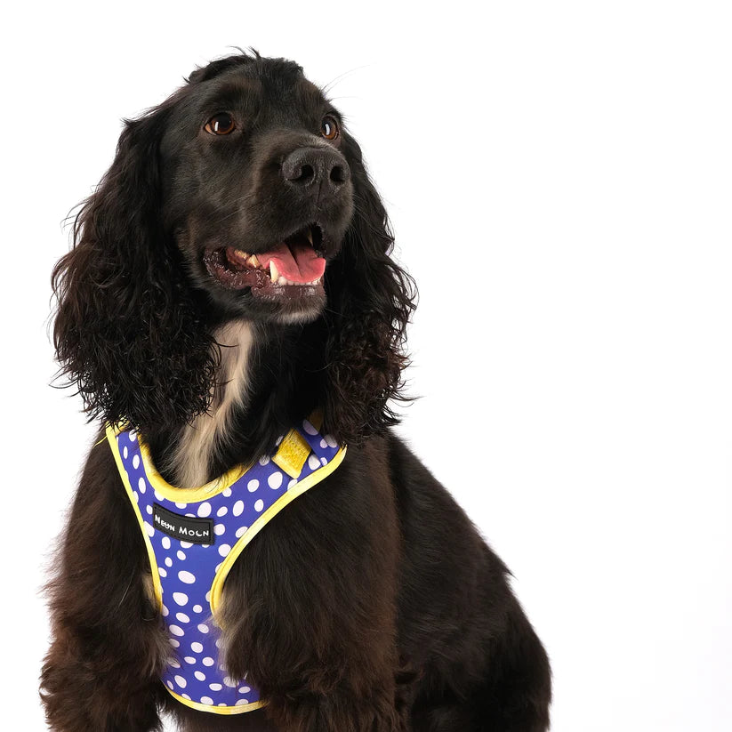 The Minnie Mesh Dog Harnesss - by Neon Moon Pet Boutique