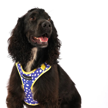The Minnie Mesh Dog Harnesss - by Neon Moon Pet Boutique