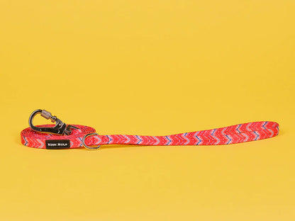 The Tod Dog Lead - by Neon Moon Pet Boutique