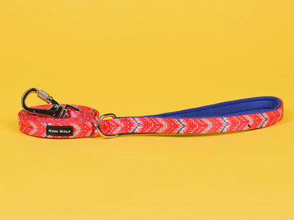 The Tod Dog Lead - by Neon Moon Pet Boutique